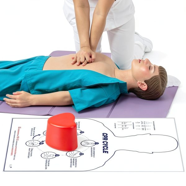 CPR Saver Training Kit CPR Training Model Hands Only CPR Compression First Aid Teaching Exercises Tool for Medical Students, Emergency Teachers, Medical Staff-2