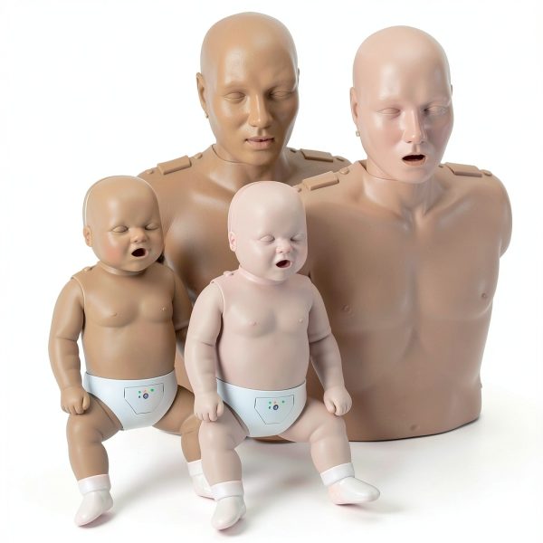 MCR Medical Prestan Diversity Take2 CPR Manikin & UltraTrainer Kit with Feedback (2-Adult, 2-Infant, & 2-UltraTrainers) and Accessories-2