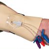 Central Line Practice Set Nurse Grower 3D Model with Removable Claves-3